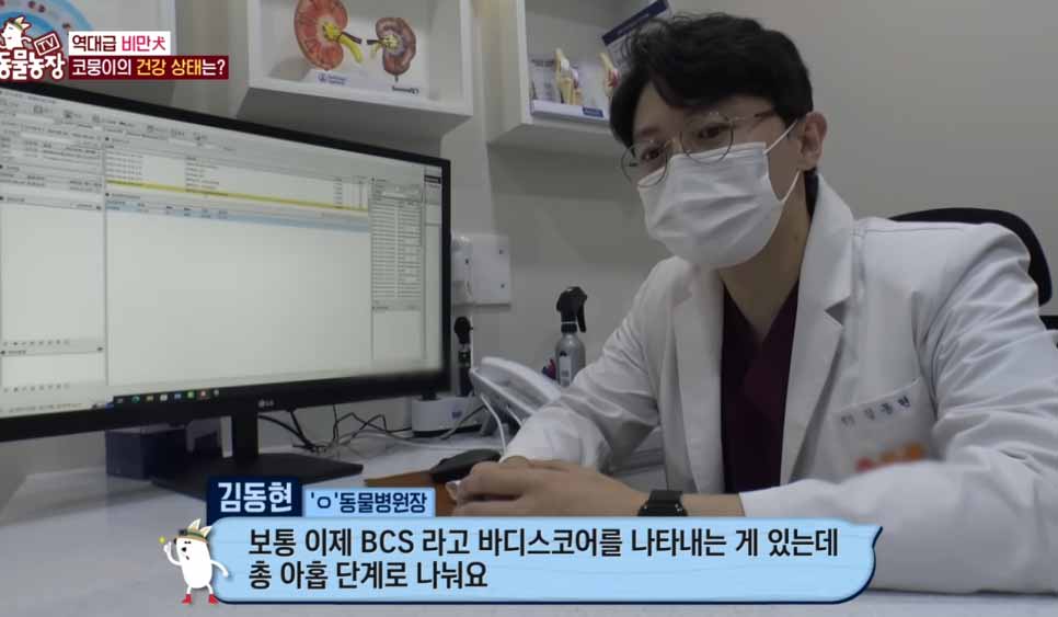 강아지 심장전문병원 심장병 진료를 고민 중이라면